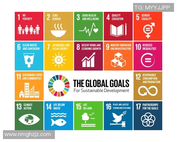 西安排球队运营革新探索：提升竞争力与可持续发展的新路径